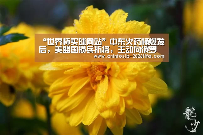 “世界杯买球网站”中东火药桶爆发后，美盟国损兵折将，主动向俄罗斯求和，希望停火女