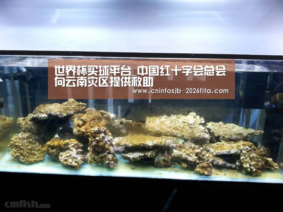 世界杯买球平台_中国红十字会总会向云南灾区提供救助(图3) 世界杯买球网站