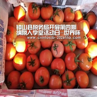 世界杯买球