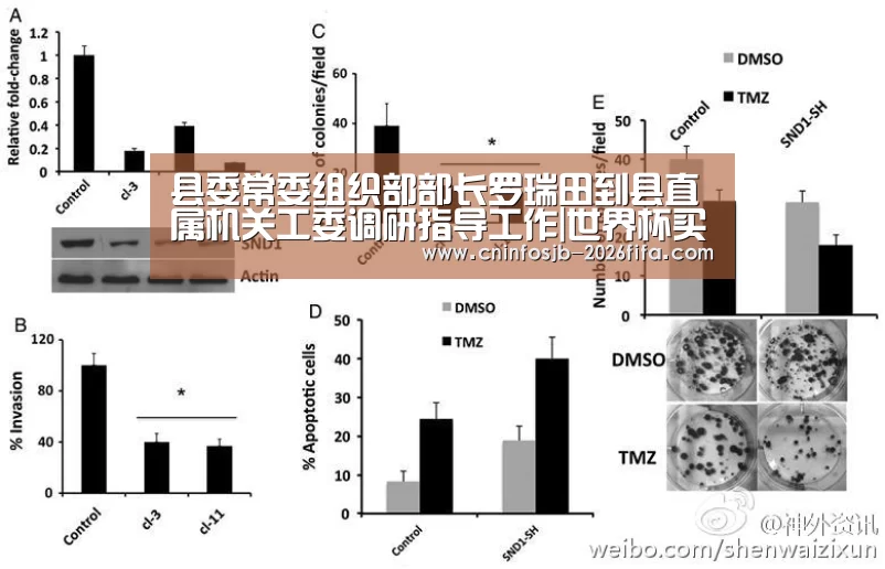 县委常委组织部部长罗瑞田到县直属机关工委调研指导工作|世界杯买球平台(图2) 世界杯买球