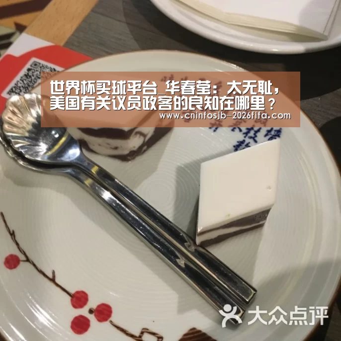 世界杯买球平台_华春莹:太无耻,美国有关议员政客的良知在哪里?(图3) 世界杯买球网站